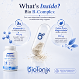 Daily Essentials Bundle | BioBase + Omega-3 + B-Complex