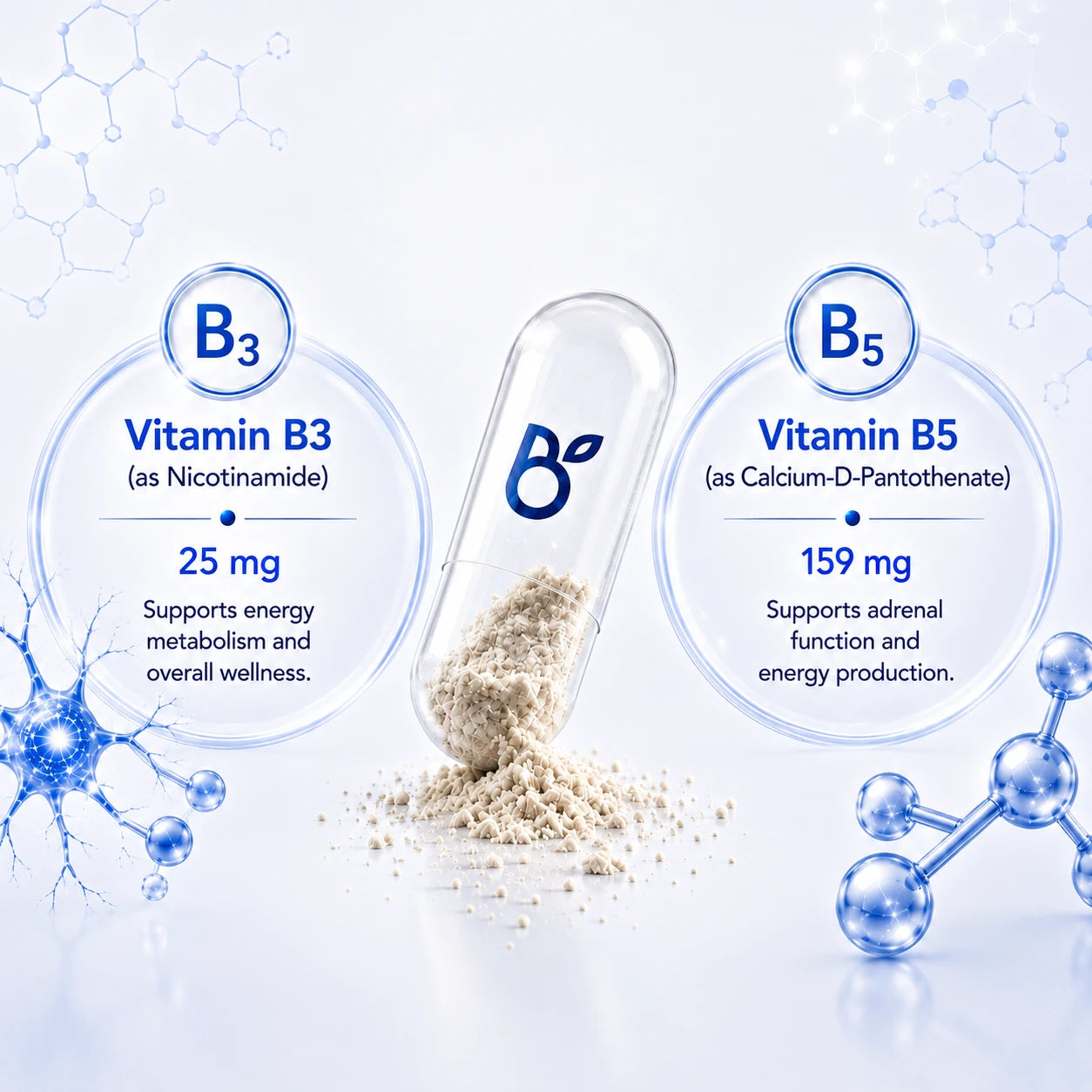 BioTonix Bio B-Complex graphic displaying 25mg Vitamin B3 Nicotinamide and 159mg Vitamin B5 Calcium-D-Pantothenate beside an open capsule.