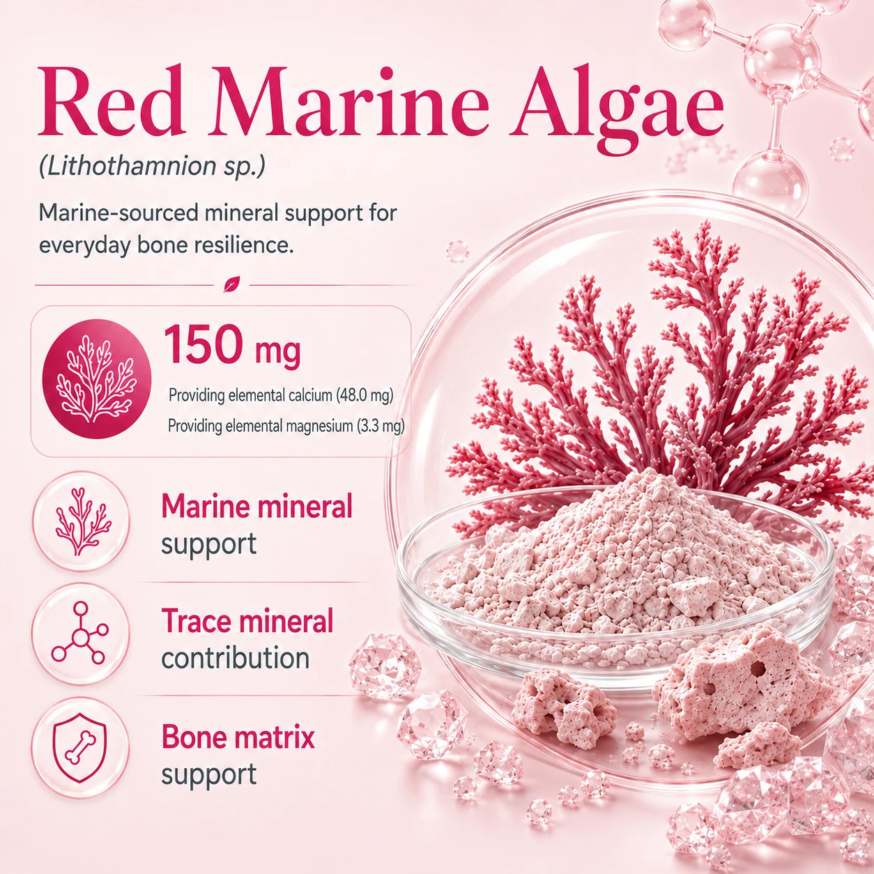 BioTonix BioFemme Osteo 150mg Red Marine Algae Lithothamnion sp powder graphic providing marine and trace minerals for bone matrix support.