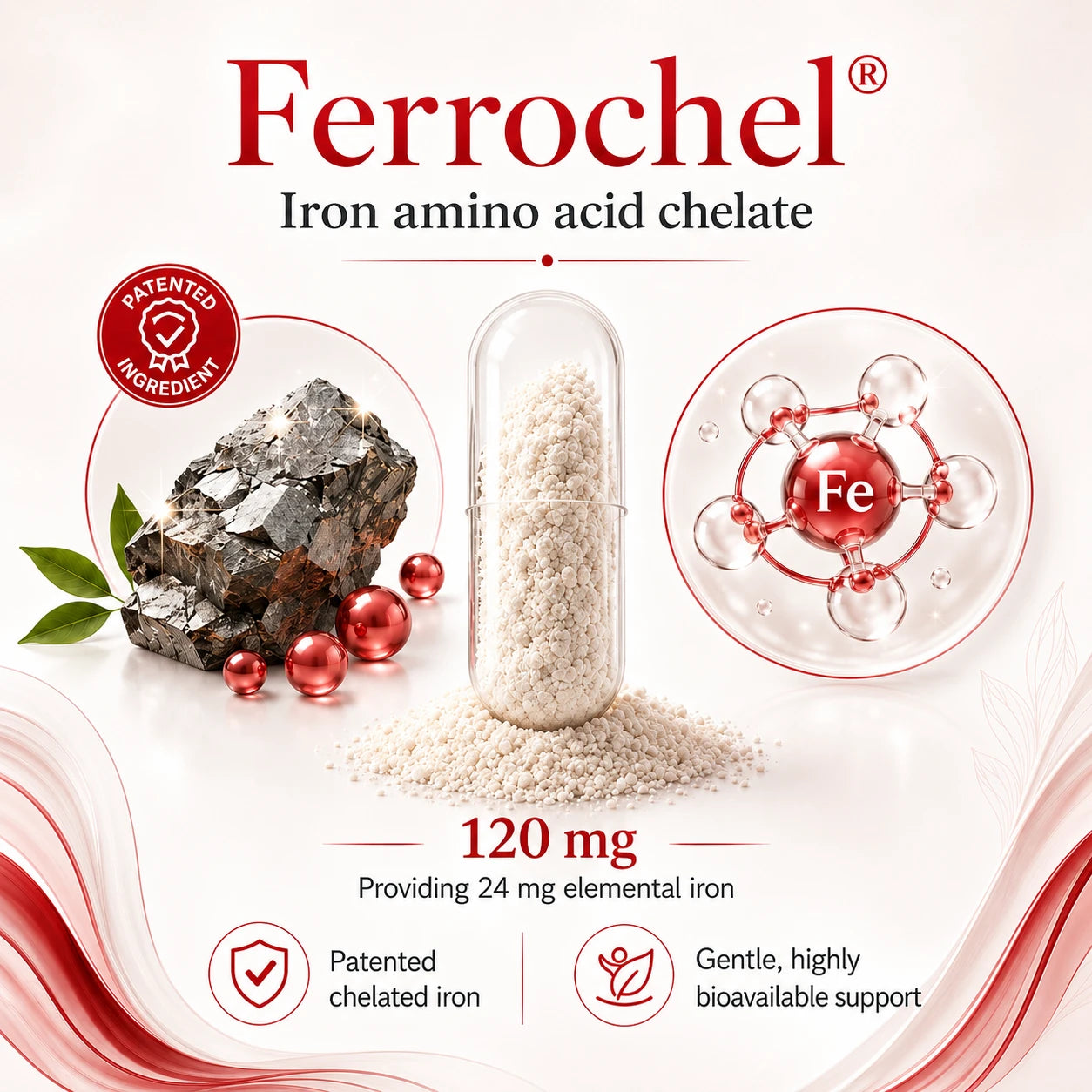 BioTonix BioFerrous Iron graphic displaying 120mg Ferrochel Iron Amino Acid Chelate providing 24mg elemental iron with Fe molecule graphic.