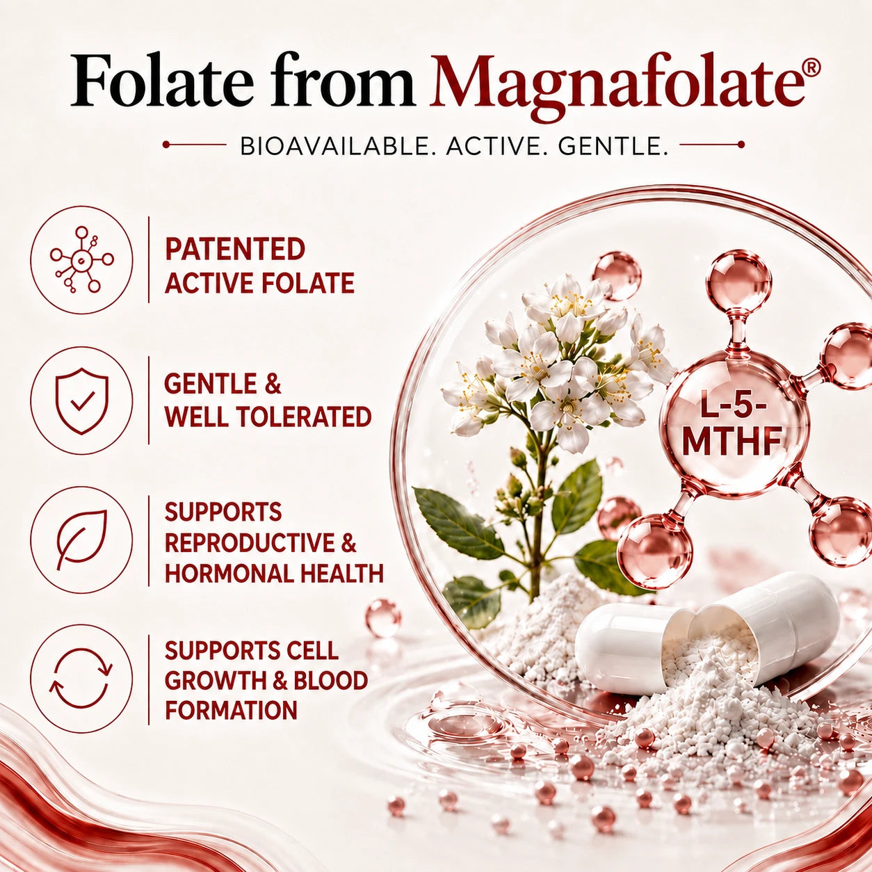 
BioTonix BioFerrous Iron graphic detailing 4th generation Magnafolate L-5-MTHF active folate for red blood cell formation and cellular growth.