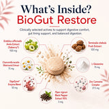 BioTonix BioGut Restore ingredient breakdown showcasing Saberry, Chamomile, L-Glutamine, Zinc Carnosine,  Terminalia Chebula, Black Pepper, and DigeZyme.