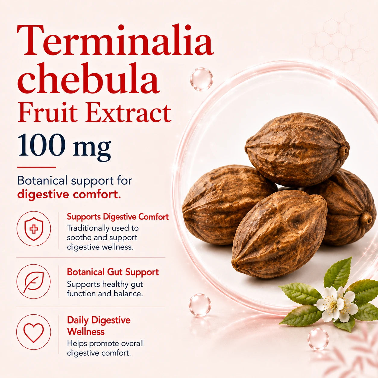 BioTonix BioGut Restore 100mg Terminalia chebula fruit extract for digestive wellness and gut comfort.