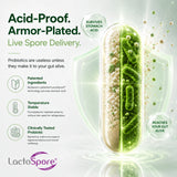 Diagram of an acid-proof spore capsule illustrating temperature-stable LactoSpore probiotic delivery to the gut.
