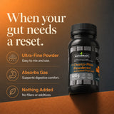 Naturmade Charco-Max Powdered Activated Charcoal tub highlighting gut reset and ultra-fine powder benefits.